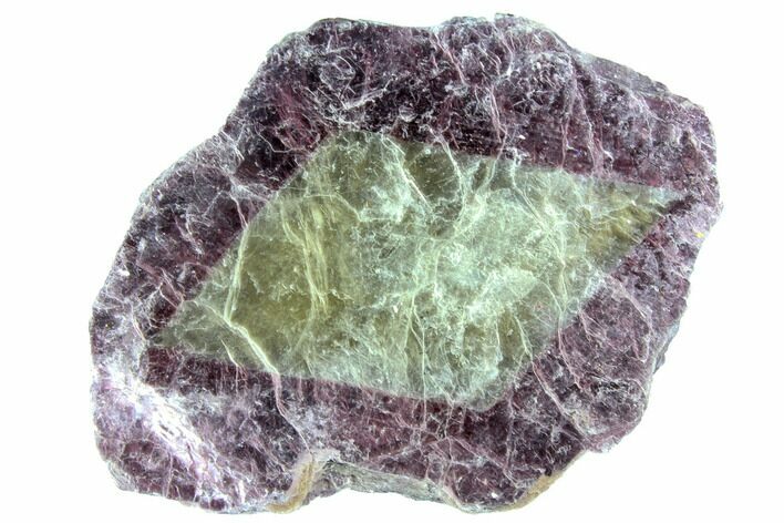 Bicolored Lepidolite - Brazil #150360